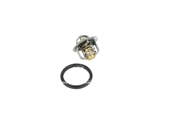 Termostat lichid racire