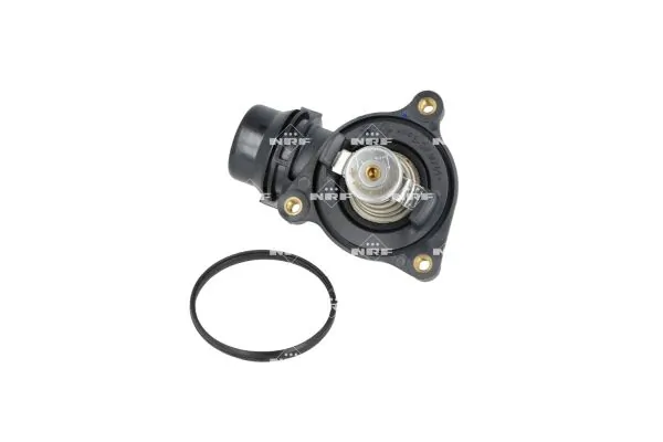Termostat lichid racire