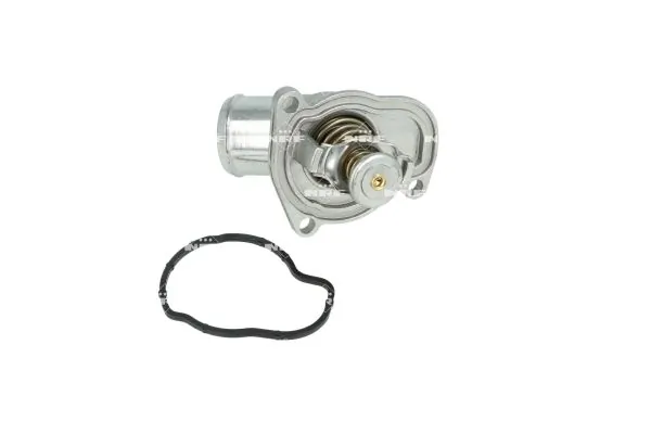 Termostat lichid racire