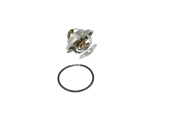 Termostat lichid racire