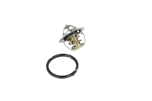 Termostat lichid racire