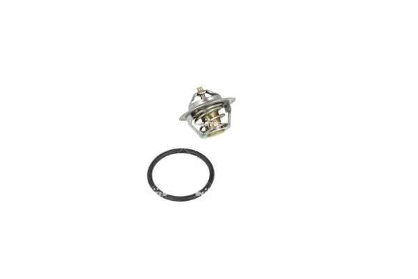 Termostat lichid racire