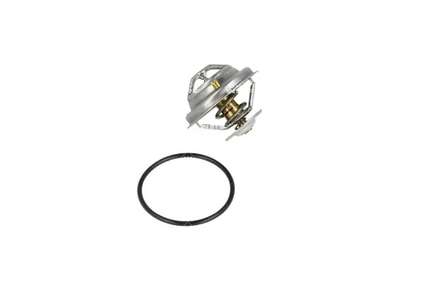 Termostat lichid racire