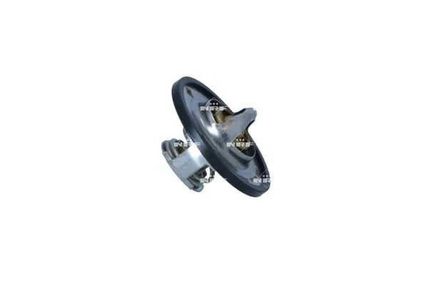 Termostat lichid racire