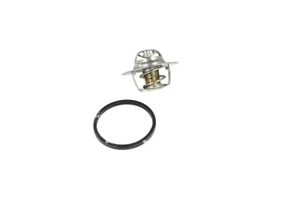 Termostat lichid racire