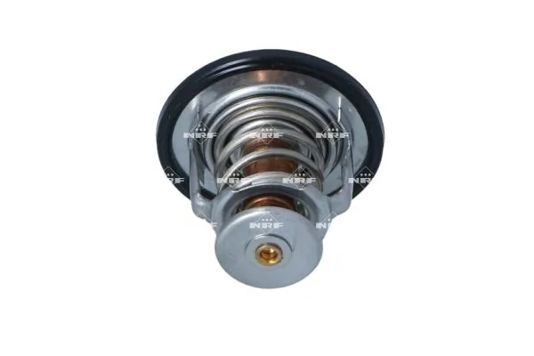 Termostat lichid racire