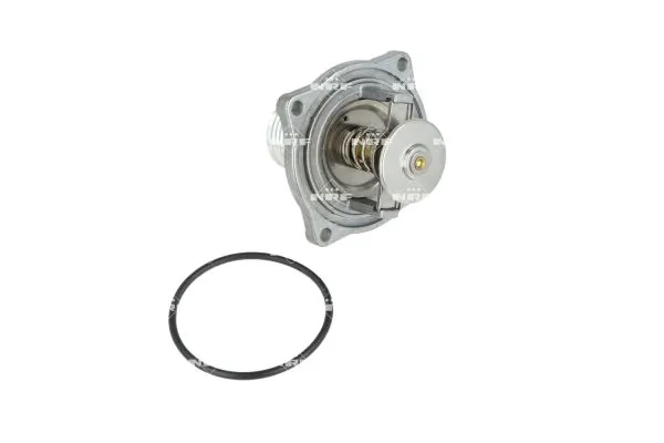 Termostat lichid racire