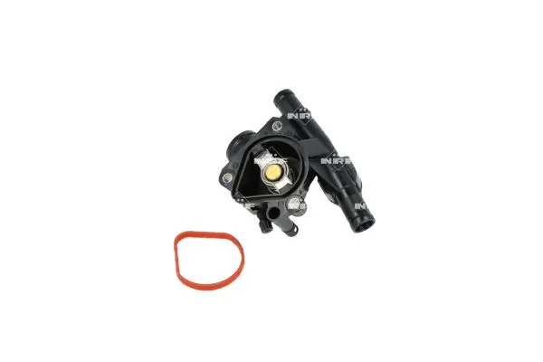 Termostat lichid racire