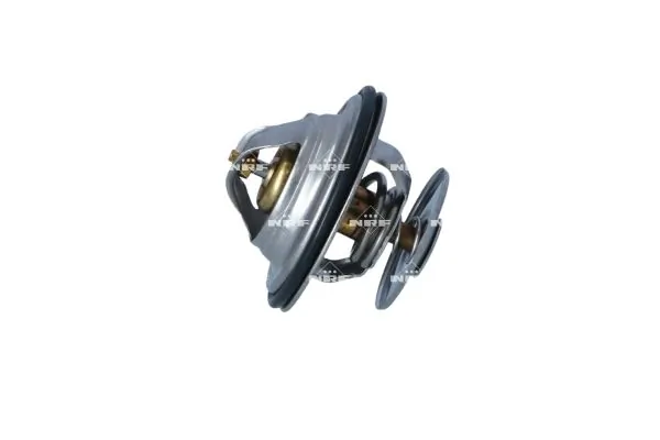 Termostat lichid racire