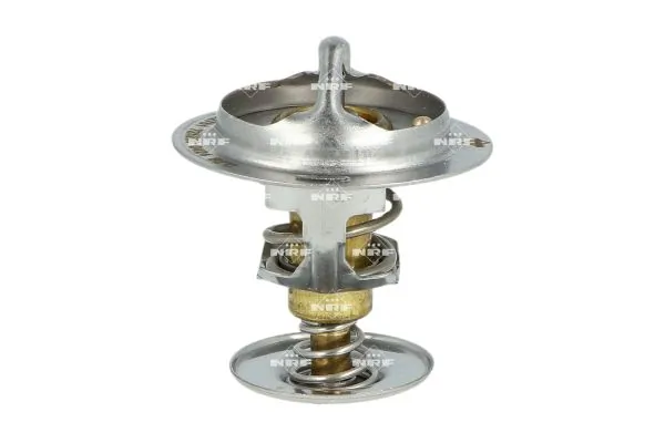 Termostat lichid racire