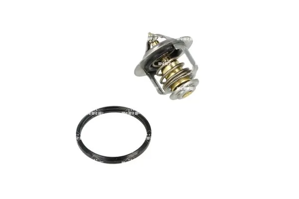 Termostat lichid racire