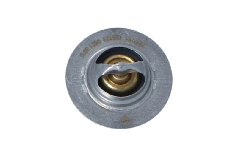 Termostat lichid racire