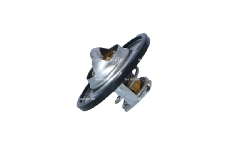Termostat lichid racire