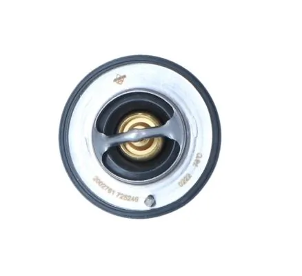 Termostat,lichid racire