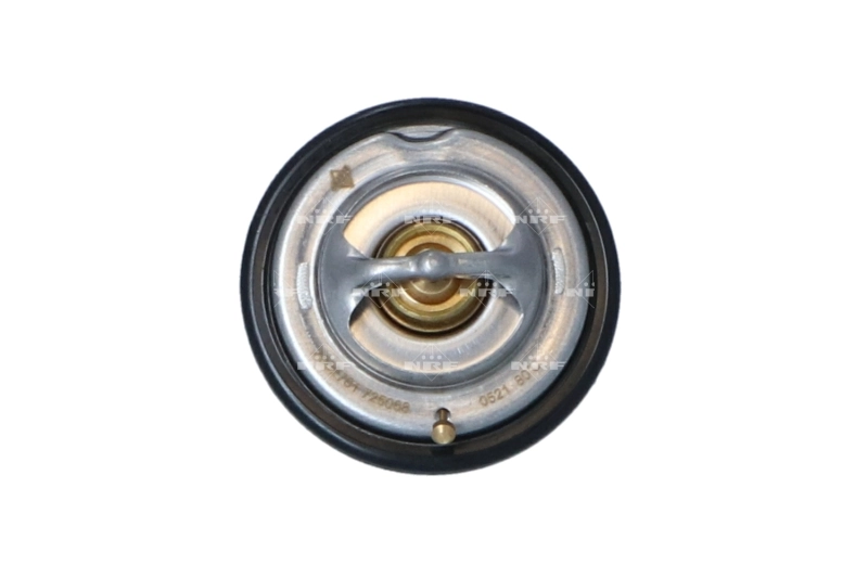 Termostat lichid racire