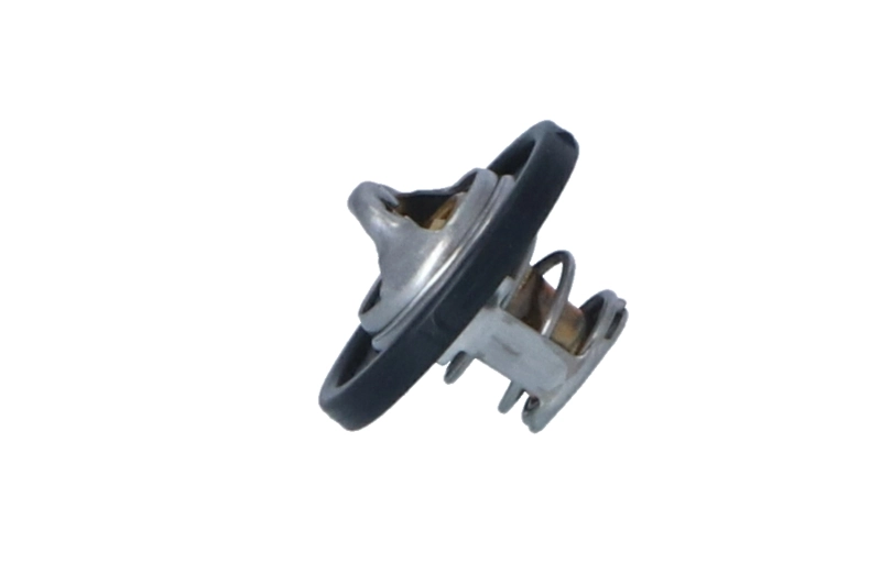 Termostat lichid racire