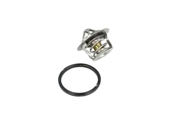 Termostat lichid racire