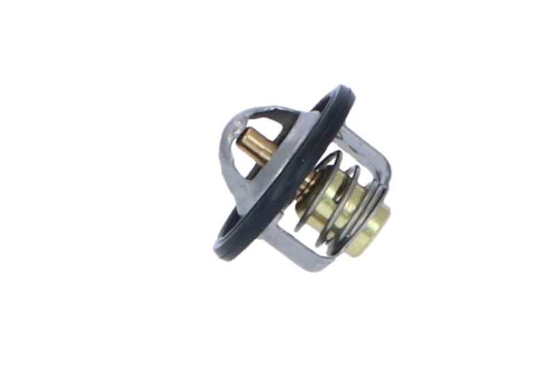 Termostat lichid racire