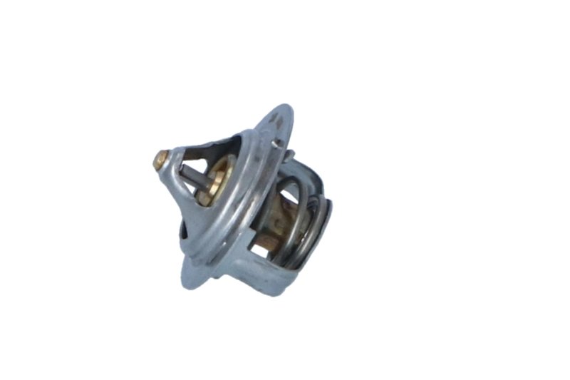 Termostat lichid racire