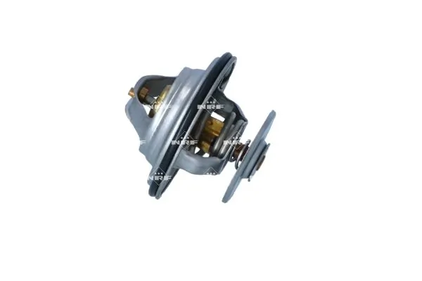 Termostat lichid racire