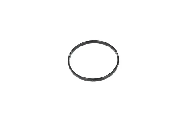 Termostat,lichid racire