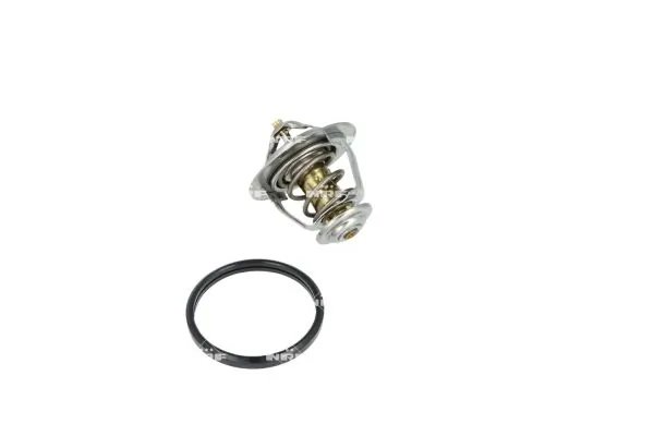 Termostat lichid racire