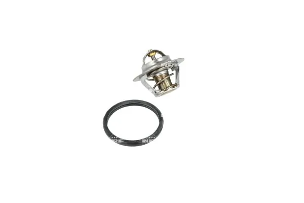 Termostat lichid racire