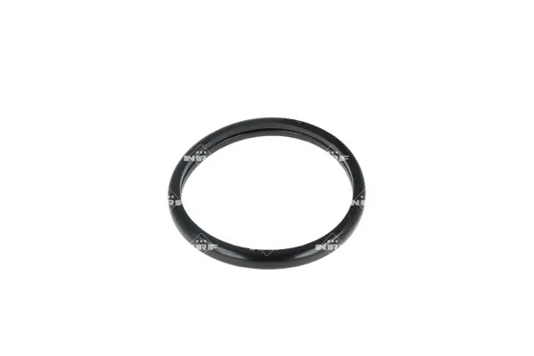 Termostat lichid racire