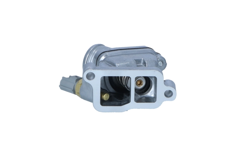Termostat lichid racire