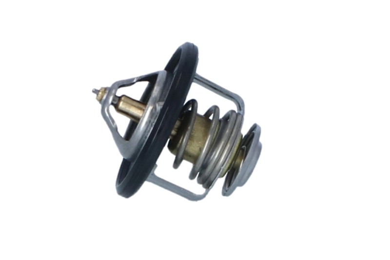Termostat lichid racire