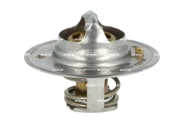 Termostat lichid racire