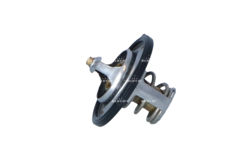 Termostat lichid racire