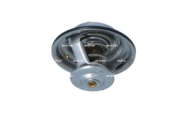 Termostat lichid racire