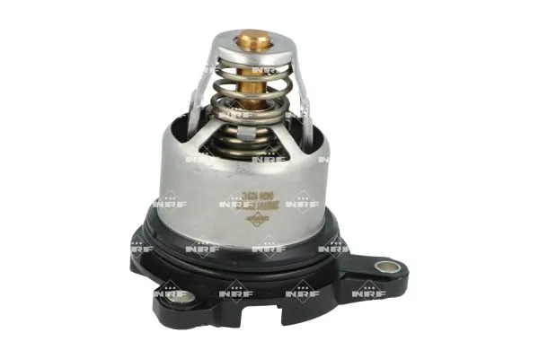Termostat,lichid racire