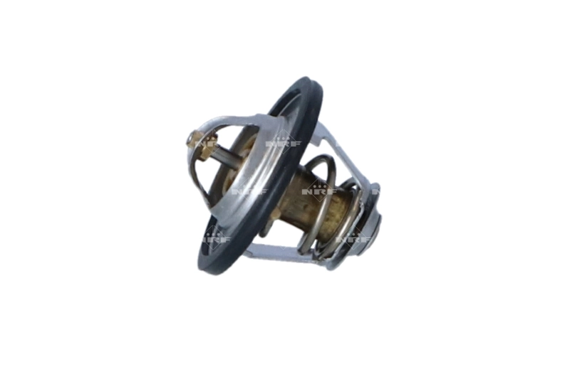 Termostat lichid racire