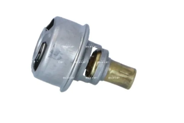 Termostat lichid racire