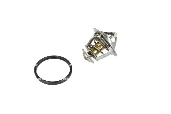 Termostat lichid racire