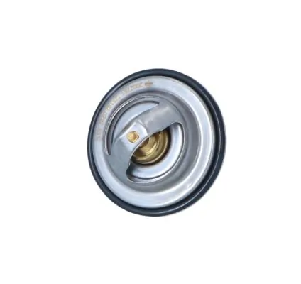 Termostat lichid racire