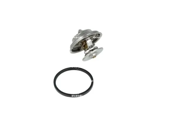 Termostat lichid racire