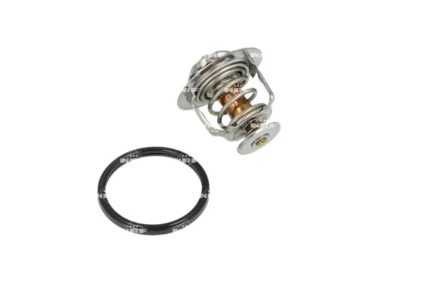 Termostat lichid racire