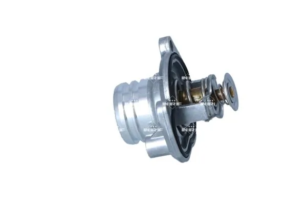 Termostat lichid racire