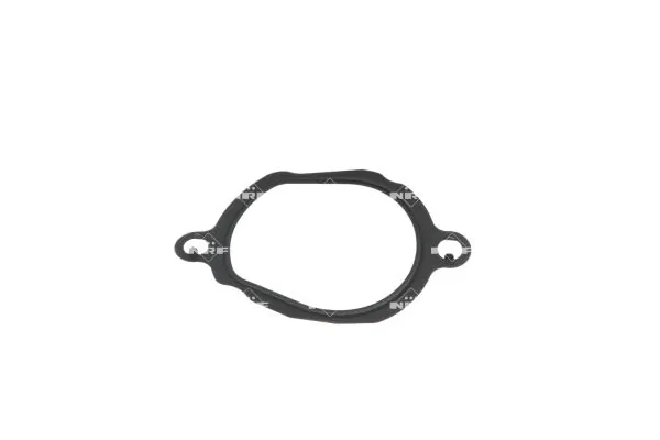 Termostat lichid racire