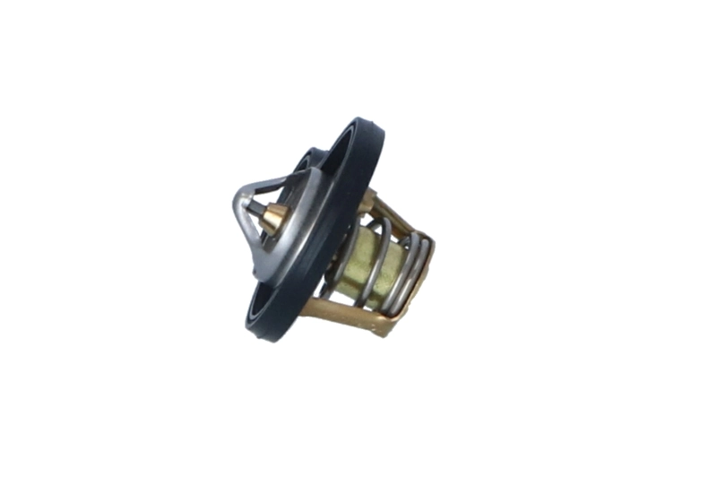 Termostat lichid racire
