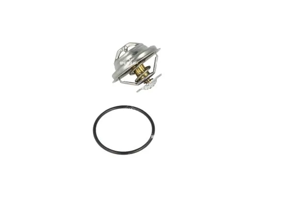 Termostat lichid racire