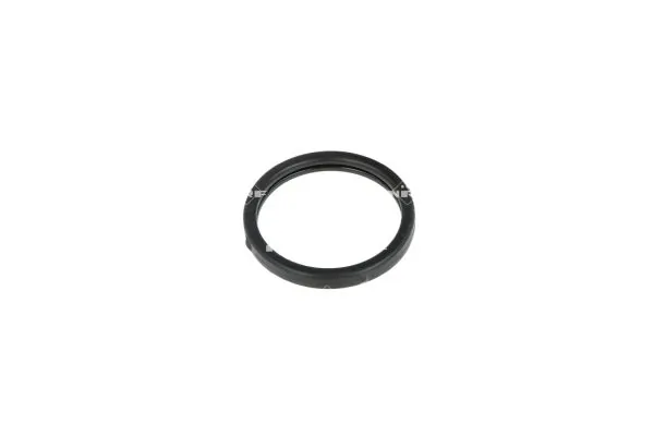 Termostat lichid racire