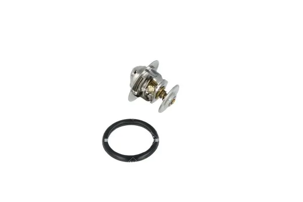 Termostat lichid racire