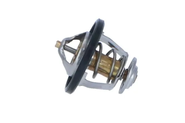 Termostat lichid racire