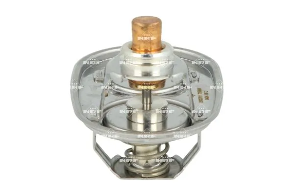 Termostat lichid racire