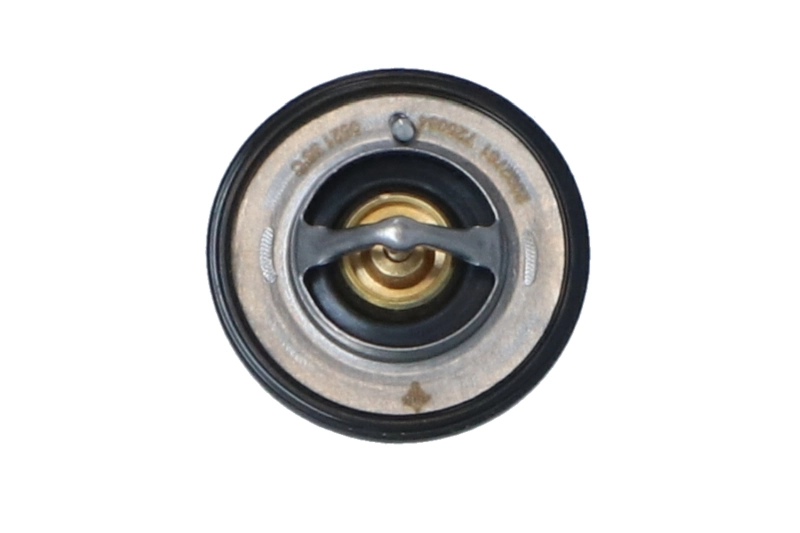 Termostat lichid racire
