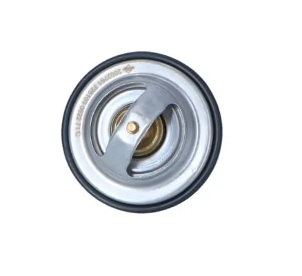 Termostat lichid racire